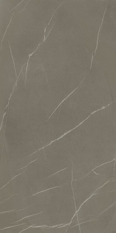 IN-SIDE Pietra Piasentina Grigio Fiammato 162х324 12+
